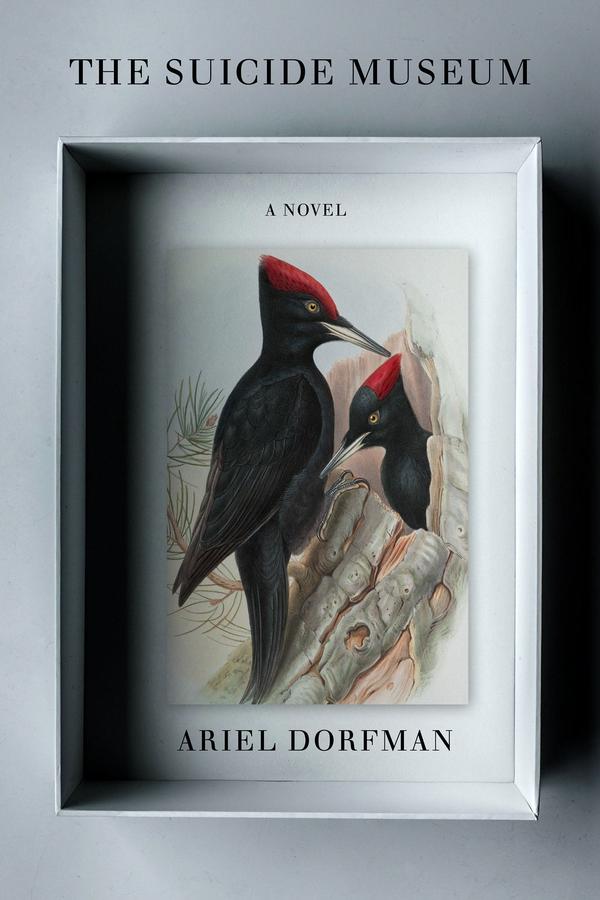 The Suicide Museum-Fiction: general and literary-買書書 BuyBookBook