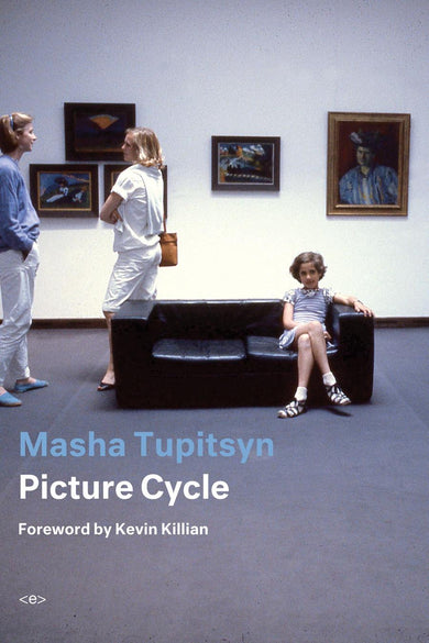 Picture Cycle-Literature and Literary studies-買書書 BuyBookBook