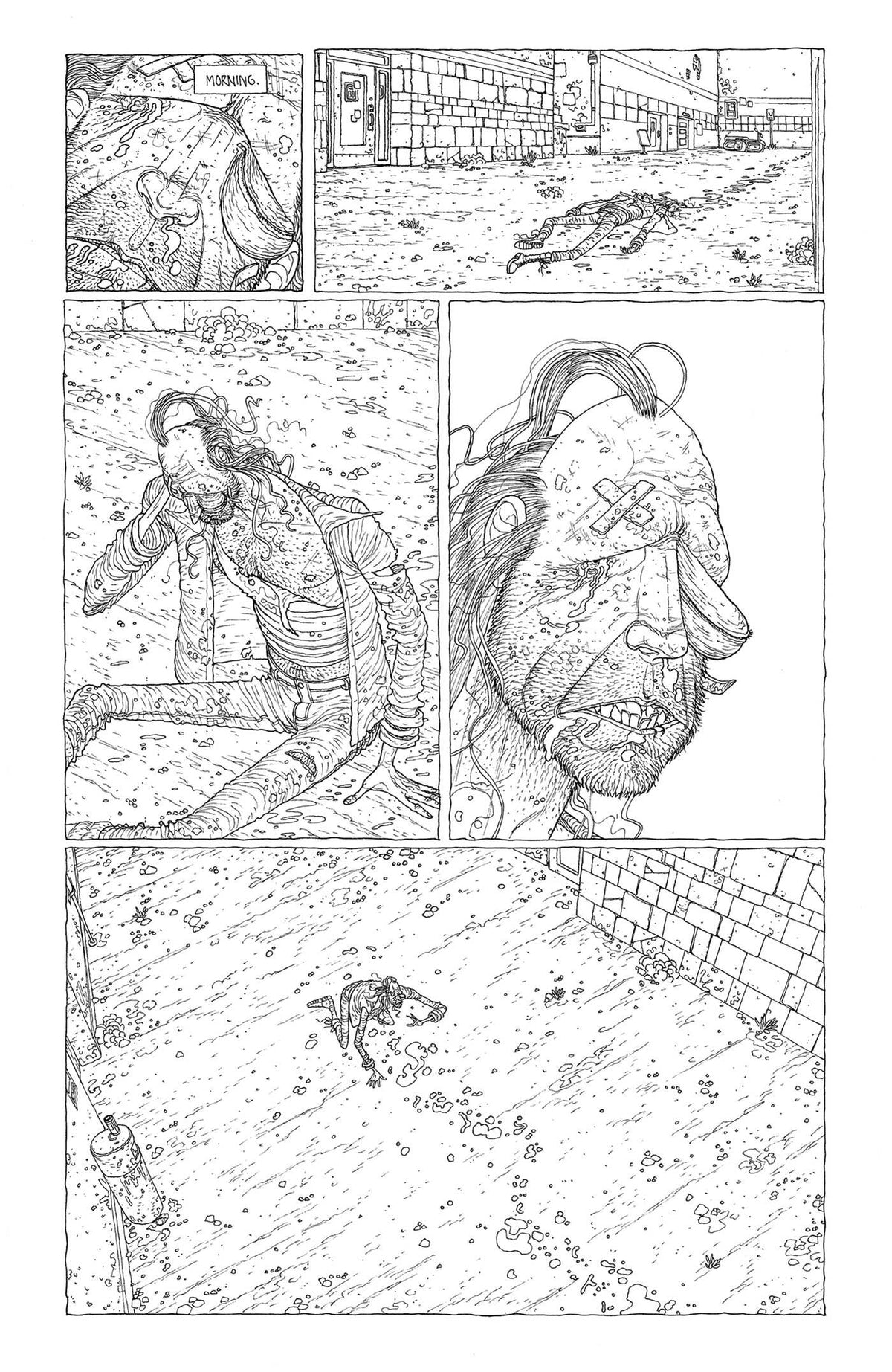 The Freak interior 2 (ISBN 9781637156469)