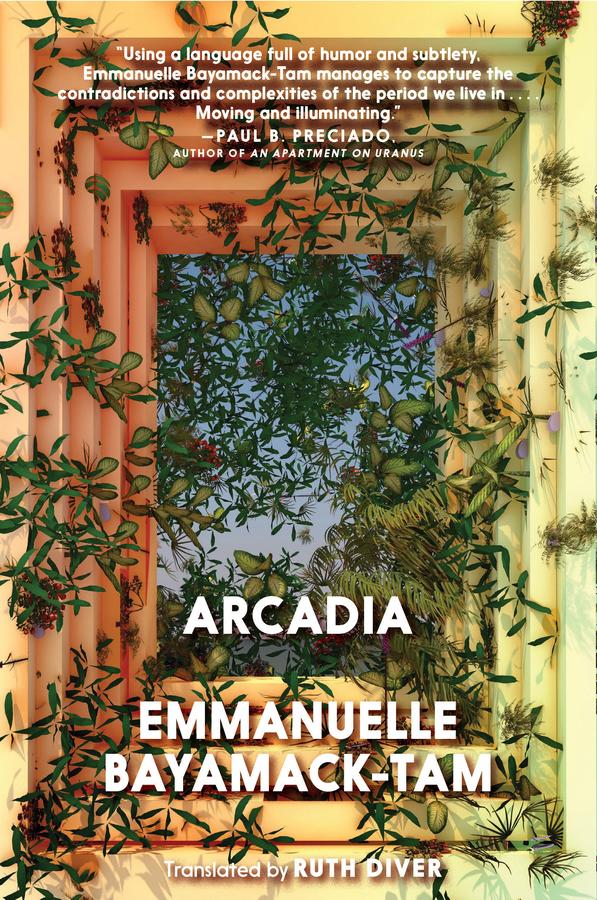 Arcadia-Fiction: general and literary-買書書 BuyBookBook