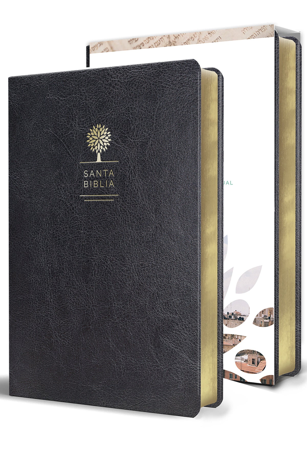 Biblia Reina Valera 1960 letra grande. Símil piel color negro, tamaño manual / Spanish Holy Bible RVR 1960. Handy Size, Large Print, Black Leathersoft cover (ISBN 9781644730997)