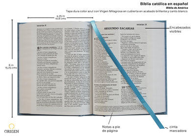 Biblia Católica en español con Virgen Milagrosa en cubierta / Catholic Bible in Spanish Hardcover, Blue interior 2 (ISBN 9781644731642)