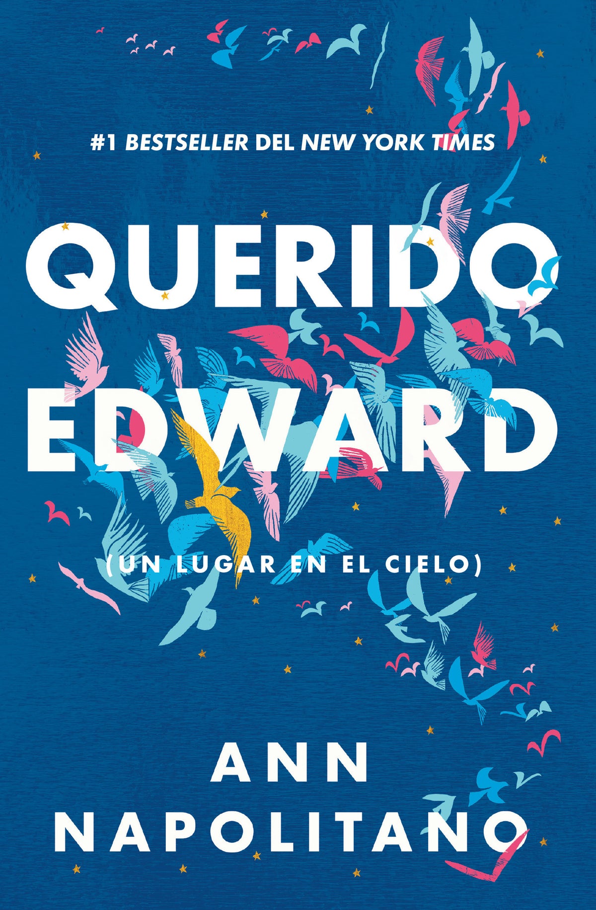 Querido Edward / Dear Edward cover (ISBN 9781644732144)