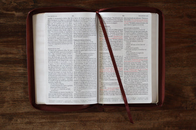 Biblia Reina Valera 1960 letra grande. Símil piel canela, cremallera, tamaño manual / Spanish Bible RVR 1960. Handy Size, Large Print, Leathersoft, Brown Zip interior 1 (ISBN 9781644732175)