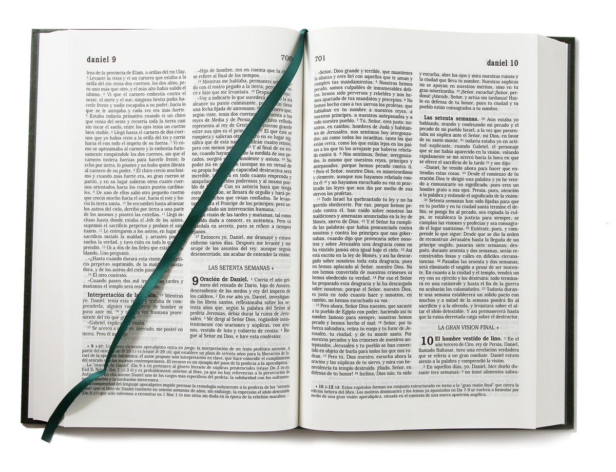 La Biblia Católica: Tamaño grande, Edición letra grande. Tapa dura, verde, con Virgen interior 1 (ISBN 9781644732472)