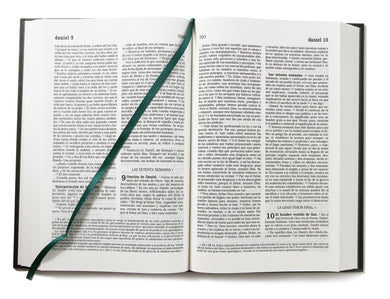 La Biblia Católica: Tamaño grande, Edición letra grande. Tapa dura, verde, con Virgen interior 1 (ISBN 9781644732472)