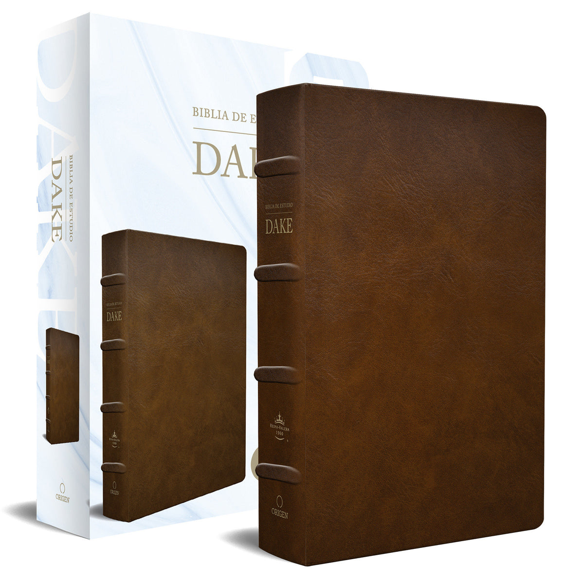 RVR 1960 Biblia de estudio Dake, tamaño grande, piel marrón / Spanish RVR 1960 Dake Study Bible, Large Size, Brown Leather cover (ISBN 9781644733660)