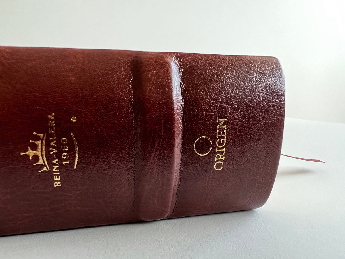 RVR 1960 Biblia de estudio Dake, tamaño grande, piel marrón / Spanish RVR 1960 Dake Study Bible, Large Size, Brown Leather interior 4 (ISBN 9781644733660)