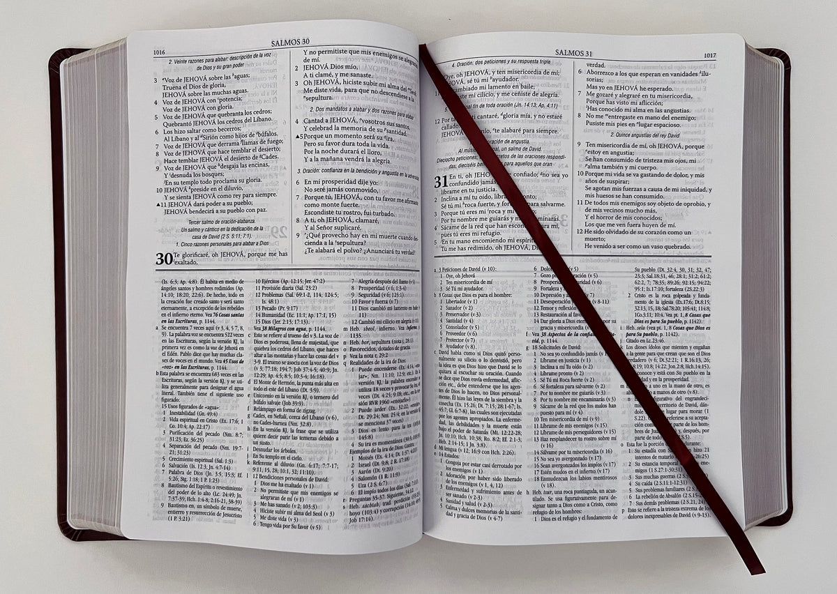 RVR 1960 Biblia de estudio Dake, tamaño grande, piel marrón / Spanish RVR 1960 Dake Study Bible, Large Size, Brown Leather interior 6 (ISBN 9781644733660)