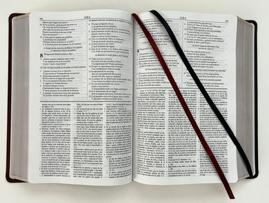 RVR 1960 Biblia de estudio Dake, tamaño grande, piel duotono marrón / Spanish RVR 1960 Dake Study Bible, Large Size, Duotone Brown Leather interior 8 (ISBN 9781644733684)