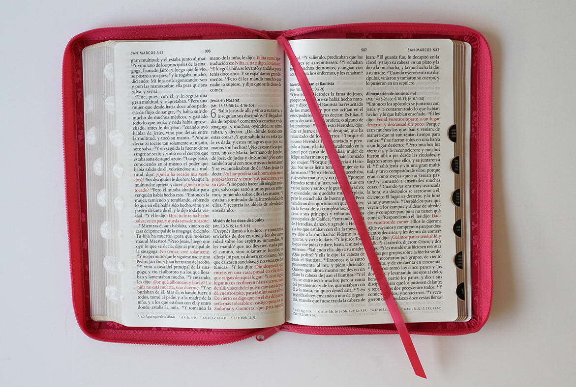 Biblia Reina Valera 1960 letra grande. Símil piel fucsia, cremallera, índice, manual / Spanish Bible RVR 1960. Handy Size, Large Print, Leathersoft interior 2 (ISBN 9781644733851)
