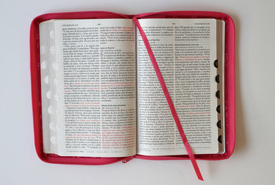 Biblia Reina Valera 1960 letra grande. Símil piel fucsia, cremallera, índice, manual / Spanish Bible RVR 1960. Handy Size, Large Print, Leathersoft interior 2 (ISBN 9781644733851)