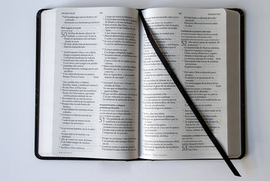 Biblia Reina Valera 1960 letra grande. Tapa dura, León de Judá, tamaño manual/ Spanish Bible RVR 1960. Handy Size, Large Print, Hardcover, Lion of Judah interior 2 (ISBN 9781644733868)
