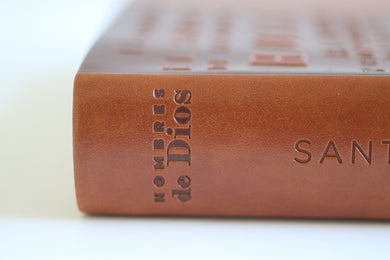 Biblia RVR60 letra grande tamaño manual, simil piel canela con nombres de Dios / Spanish Bible RVR60 Handy Size Large Print Leather soft Brown with Names of Go interior 7 (ISBN 9781644734957)
