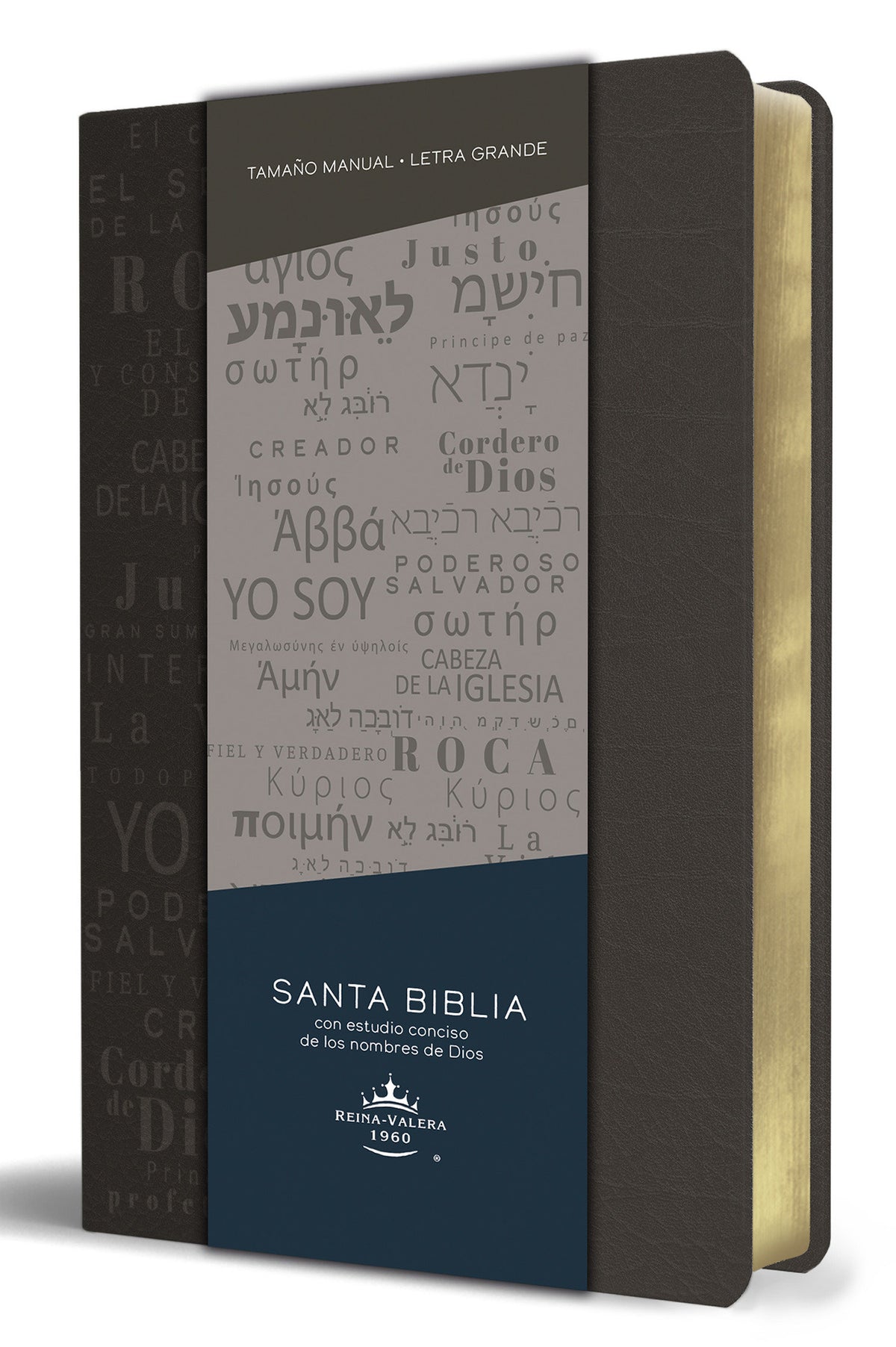 Biblia RVR 1960 letra grande tamaño manual, simil piel gris con nombres de Dios / Spanish Bible RVR 1960 Handy Size Large Print Leathersoft Grey, Names of god cover (ISBN 9781644735602)