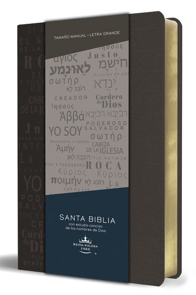 Biblia RVR 1960 letra grande tamaño manual, simil piel gris con nombres de Dios / Spanish Bible RVR 1960 Handy Size Large Print Leathersoft Grey, Names of god cover (ISBN 9781644735602)