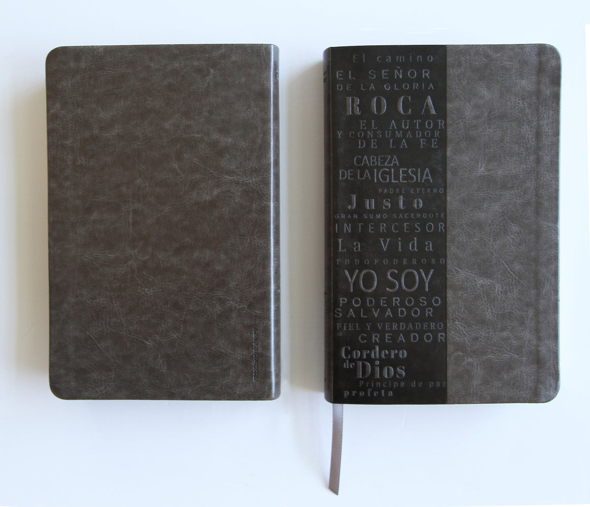 Biblia RVR 1960 letra grande tamaño manual, simil piel gris con nombres de Dios / Spanish Bible RVR 1960 Handy Size Large Print Leathersoft Grey, Names of god interior 1 (ISBN 9781644735602)