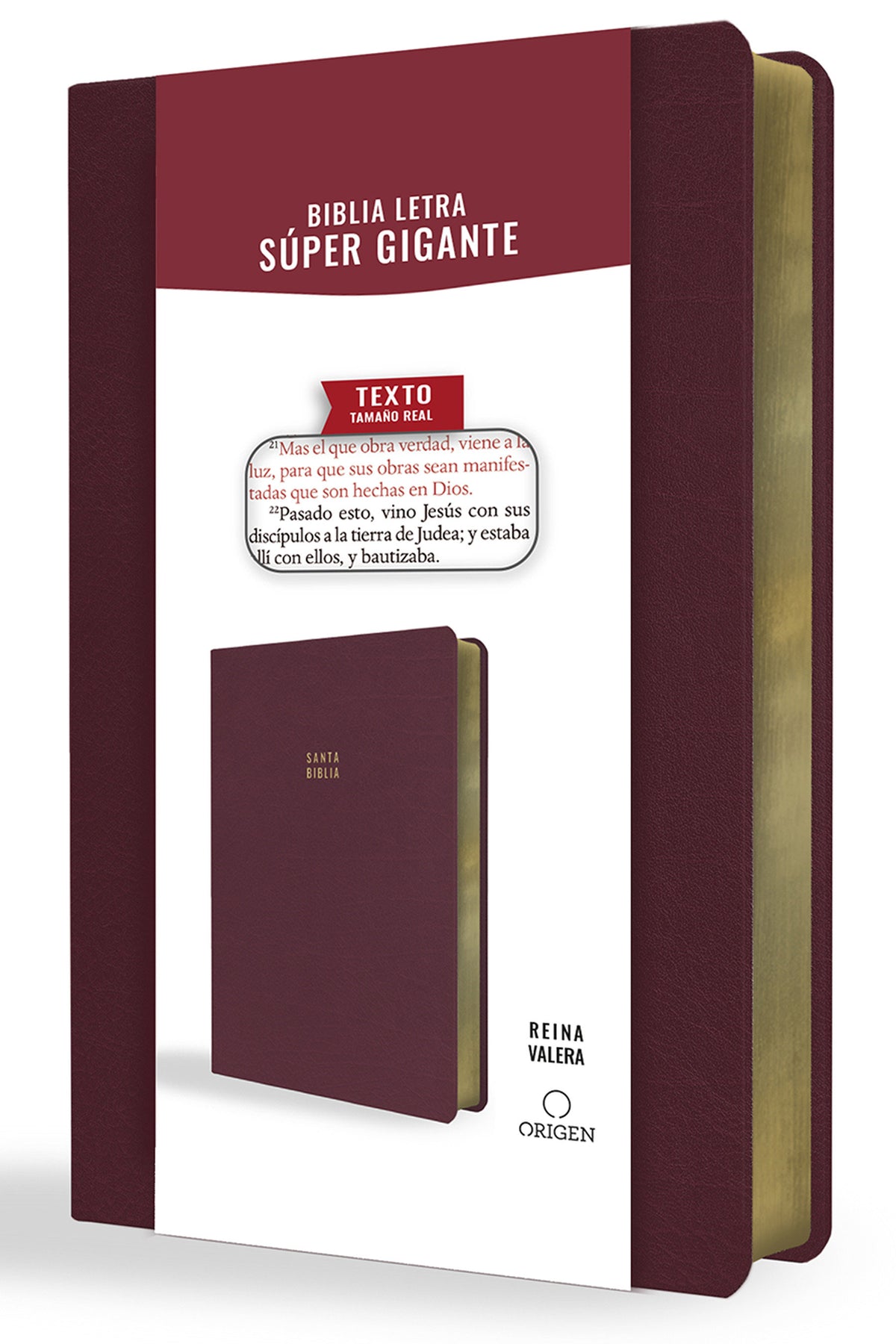 Biblia Reina Valera letra súper gigante, símil piel vinotinto / Spanish Bible Reina Valera Super Giant Print, Burgundy Leathersoft cover (ISBN 9781644735671)
