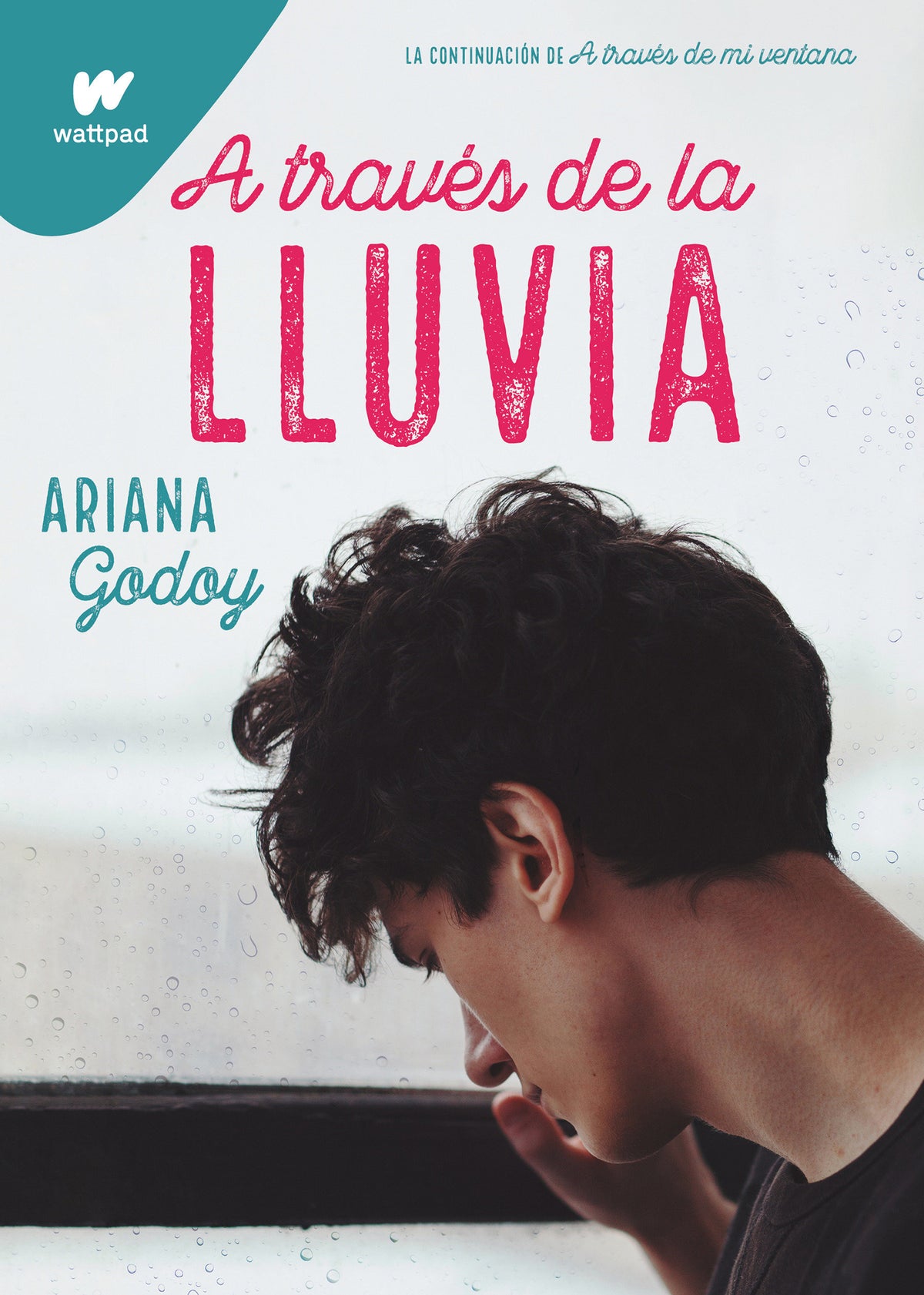 A través de la lluvia / Through the Rain cover (ISBN 9781644735954)