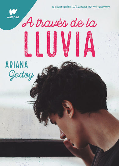 A través de la lluvia / Through the Rain cover (ISBN 9781644735954)