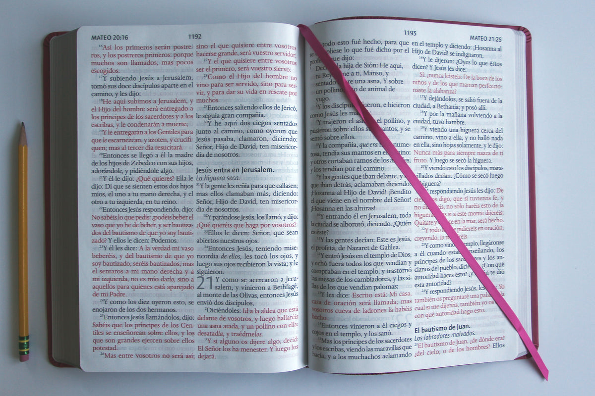 Biblia Reina Valera letra súper gigante, símil piel fucsia / Spanish Bible Reina Valera Super Giant Print, Fuchsia Leathersoft interior 4 (ISBN 9781644736258)