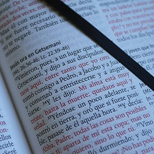 Biblia RVR 1960 Nombres de Dios letra grande tamaño manual con índice y cremallera color negro / Spanish Bible RVR60 Handy Size Black Names of God Index Zippe interior 5 (ISBN 9781644736708)