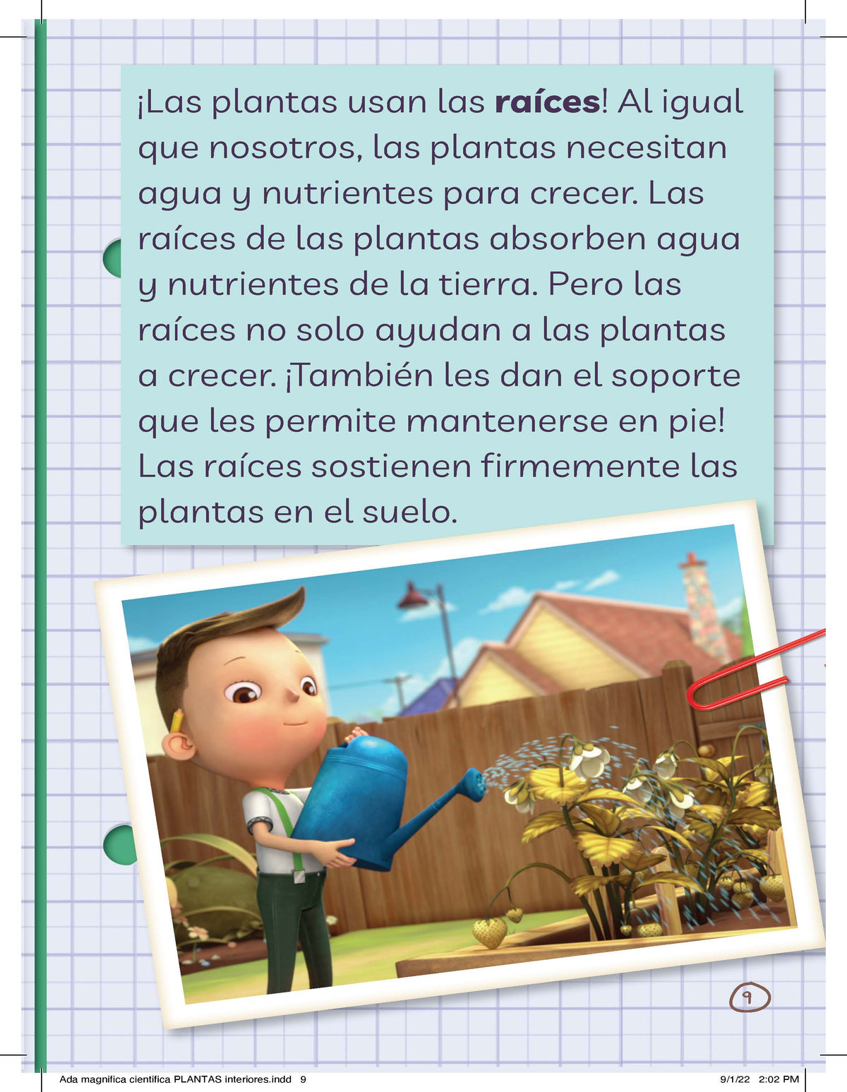 Ada Magnífica, científica investiga: Todo sobre las plantas / The Why Files: Plants interior 9 (ISBN 9781644737033)