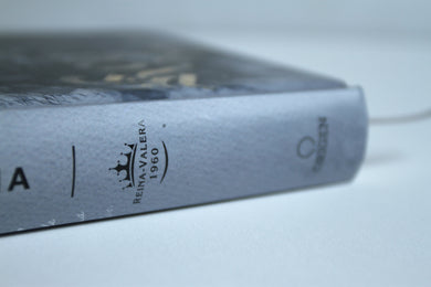 Biblia RVR60 letra grande tamaño manual, tapa dura León Rey de Reyes / Spanish Bible RVR60 Handy Size Large Print Hardcover Lion King of Kings interior 5 (ISBN 9781644737781)