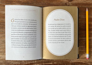 Orando los nombres de Dios / Praying the Names of God interior 2 (ISBN 9781644737804)
