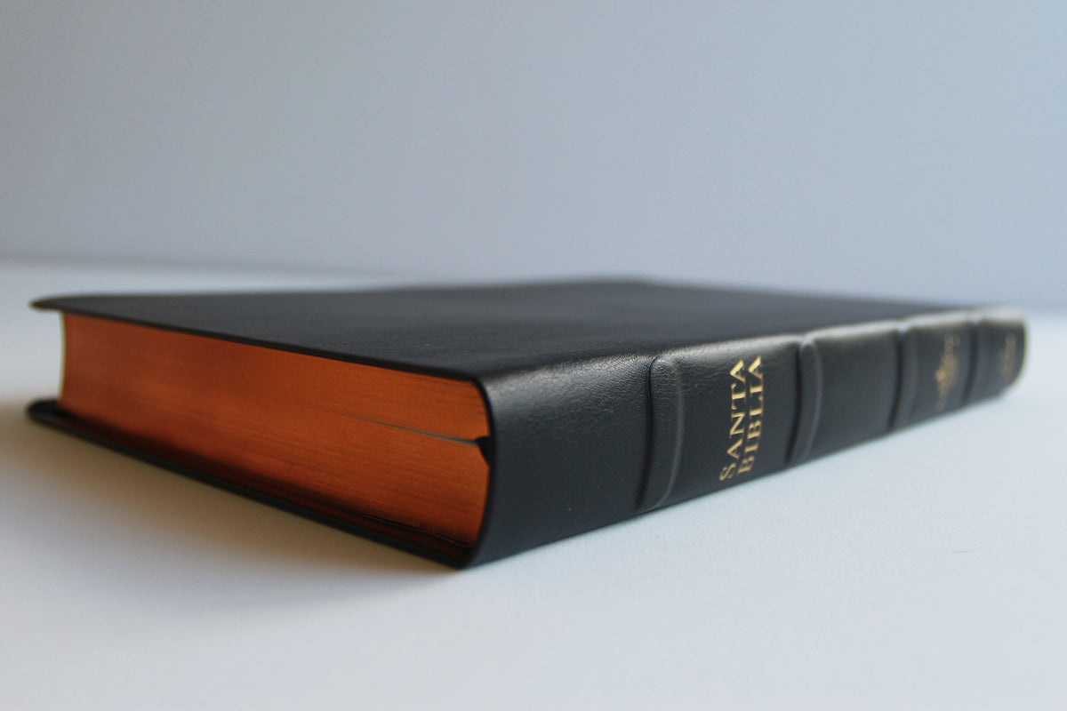Biblia RVR 1960 letra grande tamaño manual, Piel Premier negro / Spanish Bible RVR 1960 Handy Size Large Print Bonded Leather Black interior 2 (ISBN 9781644739396)