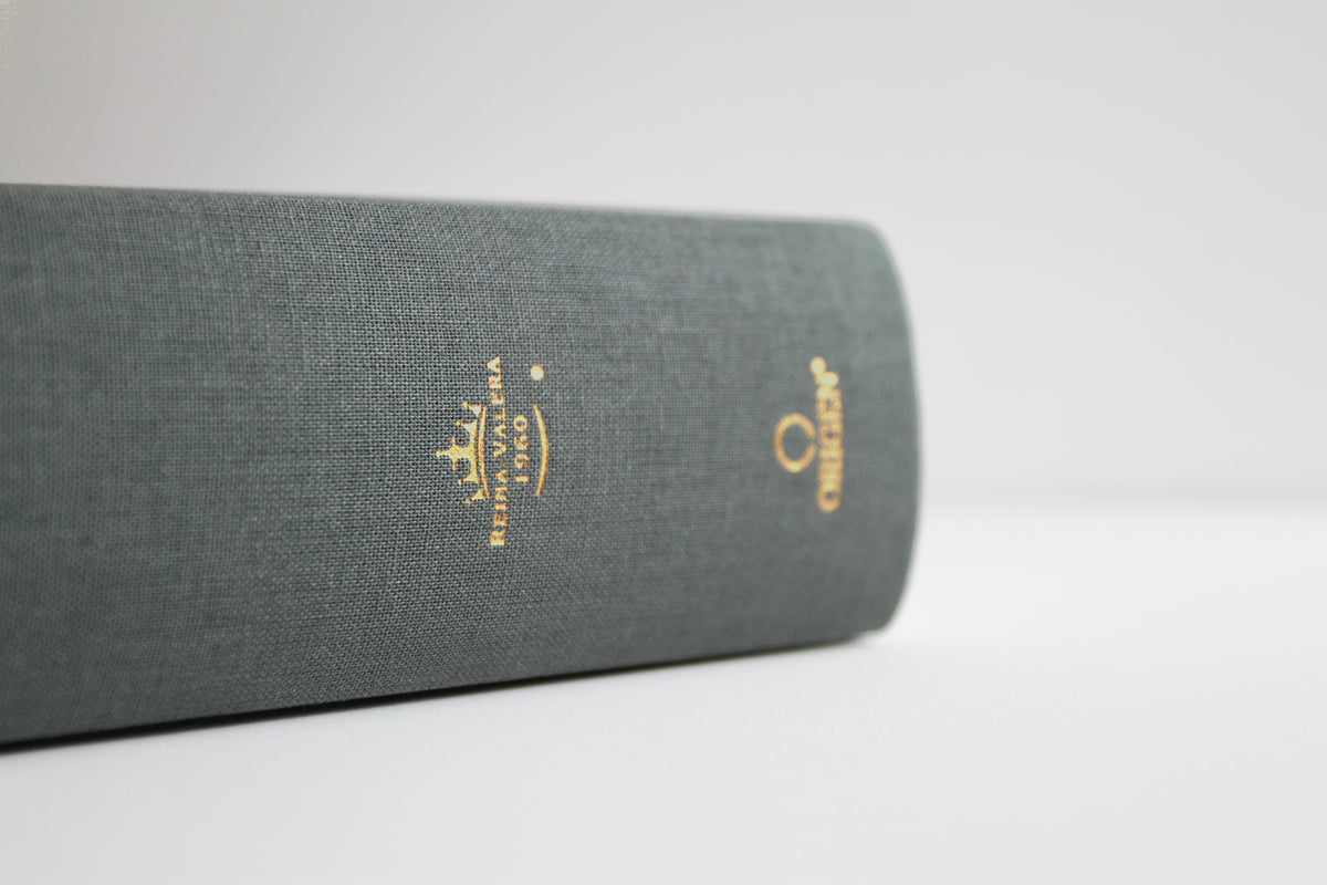 RVR 1960 Biblia de estudio Dake, tamaño grande, Tapa dura, Negra / Spanish RVR 1960 Dake Study Bible, Large Size, Black Hardcover interior 3 (ISBN 9781644739617)
