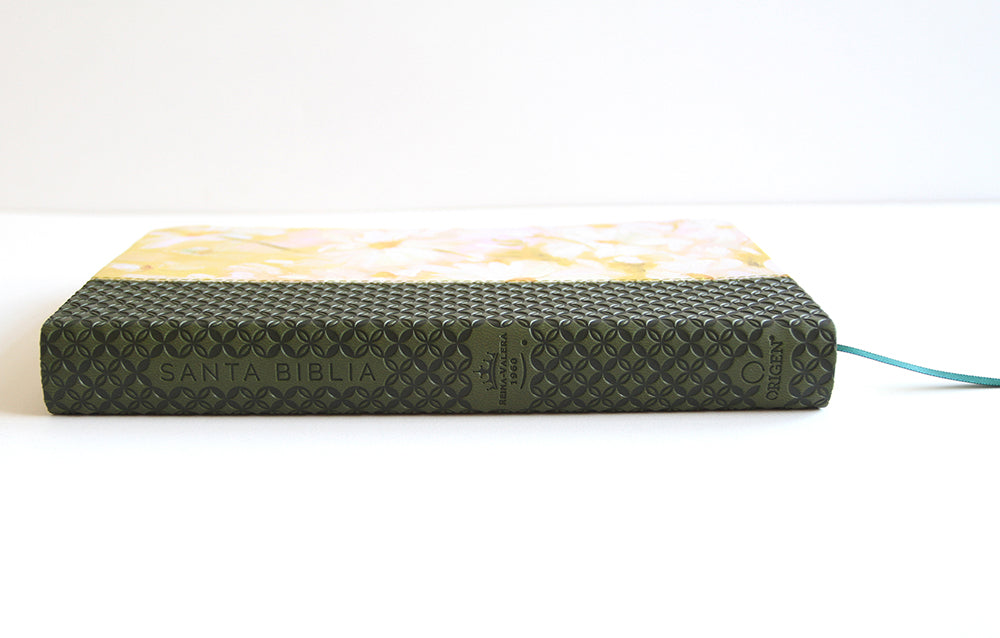 Biblia Reina Valera 1960 letra grande. Piel verde con flores, tamaño manual / Spanish Bible RVR 1960 Large Print. Imitation Green Leather With Flowers interior 3 (ISBN 9781644739686)