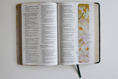 Biblia Reina Valera 1960 letra grande. Piel verde con flores, tamaño manual / Spanish Bible RVR 1960 Large Print. Imitation Green Leather With Flowers interior 6 (ISBN 9781644739686)
