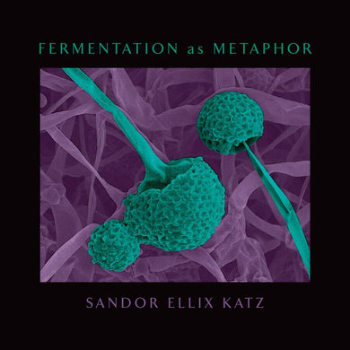 Fermentation as Metaphor-Cookery / food and drink / food writing-買書書 BuyBookBook