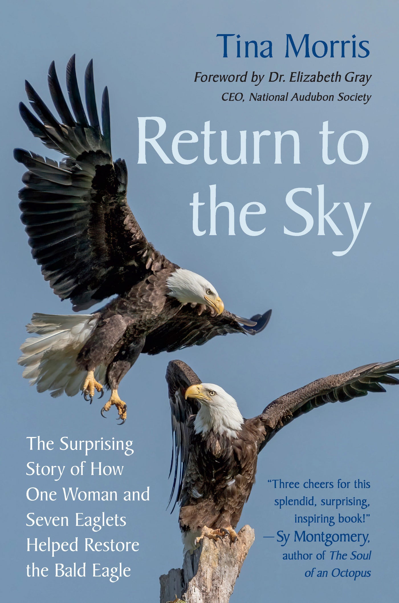 Return to the Sky