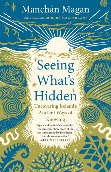Seeing What's Hidden cover (ISBN 9781645025139)