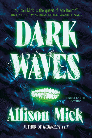 Dark Waves cover (ISBN 9781645662228)