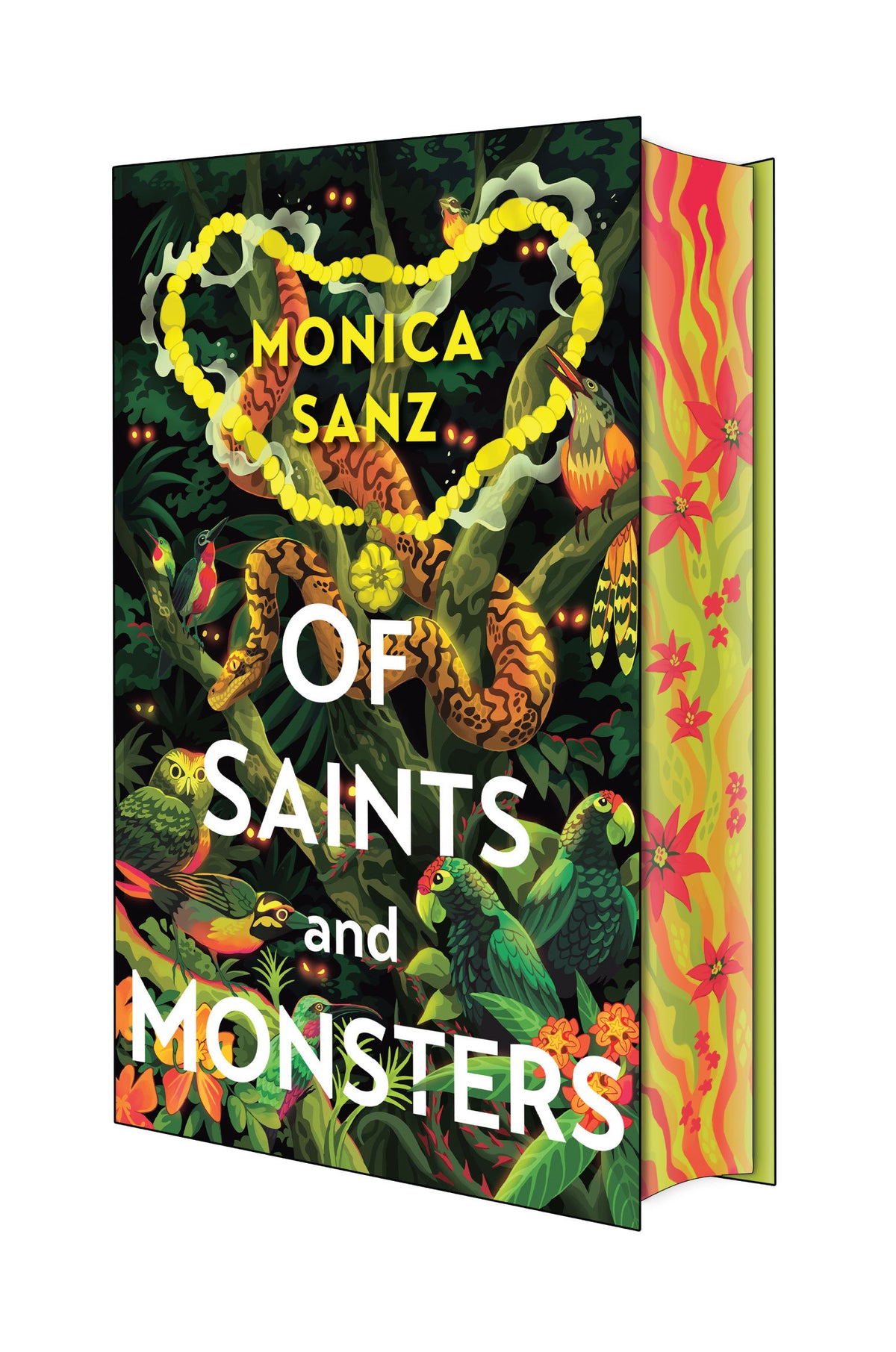Of Saints and Monsters: Deluxe Limited Edition cover (ISBN 9781645662570)