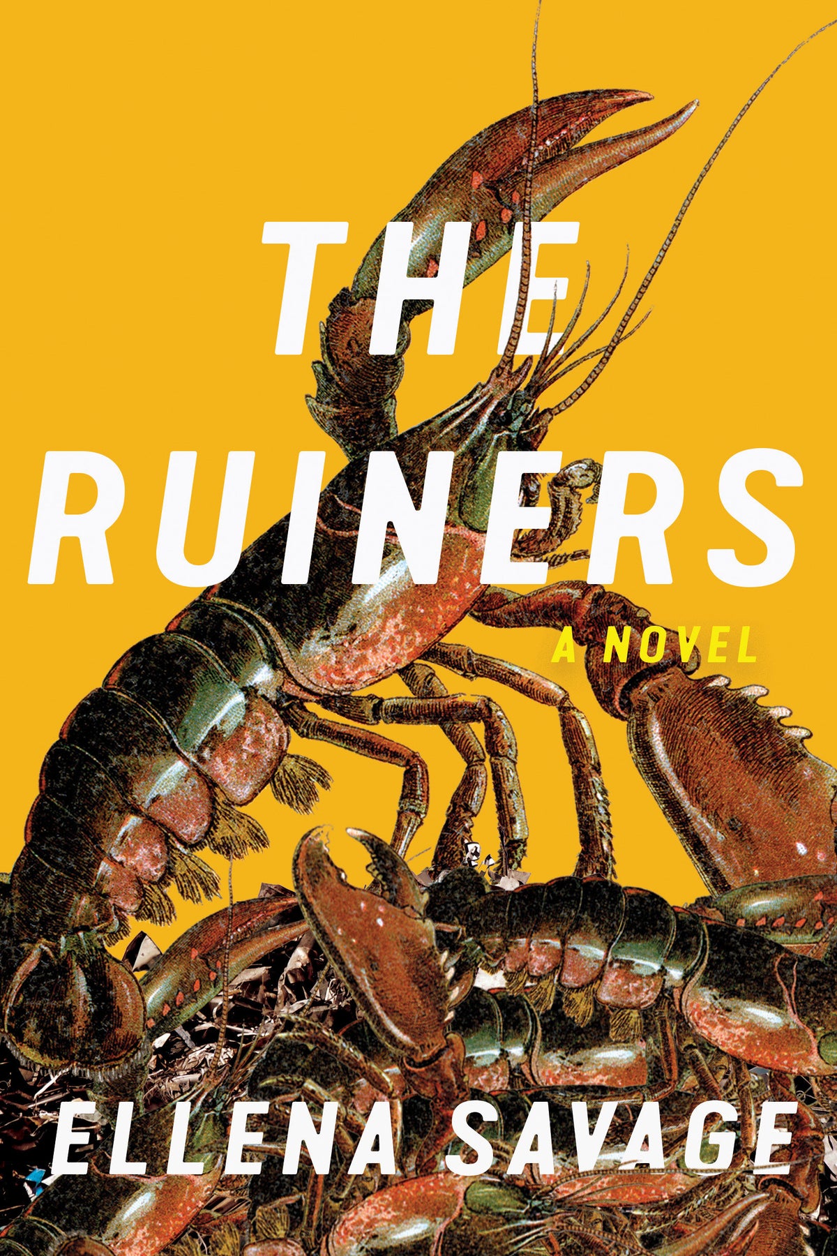 The Ruiners