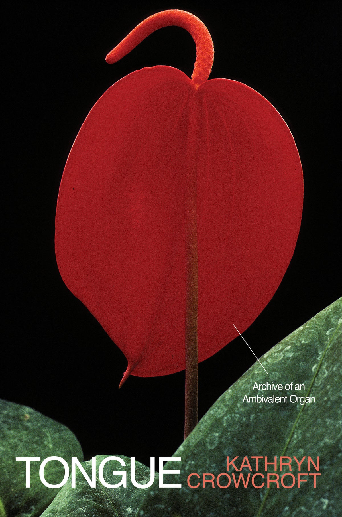 Tongue cover (ISBN 9781646224029)