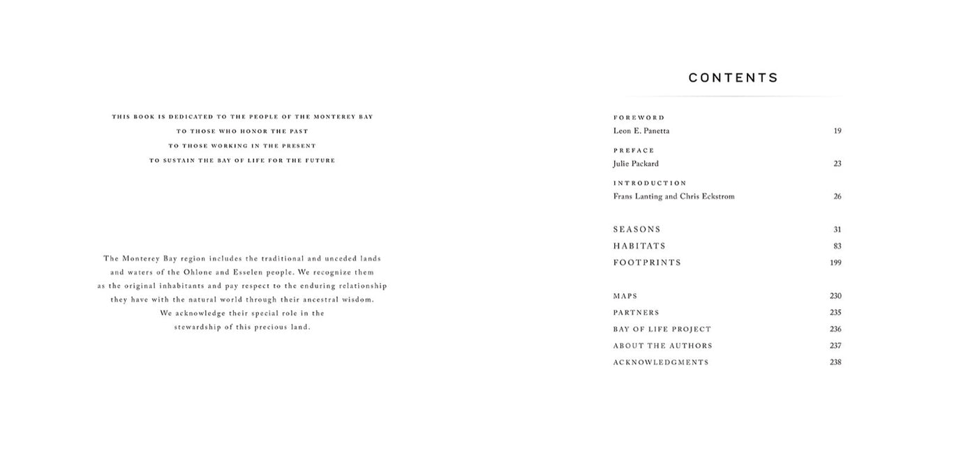 Bay of Life inside page 3