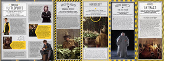 Harry Potter: Hufflepuff Magic inside page 3