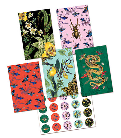 Art of Nature: Botanical Card Portfolio Set (Set of 20 Cards) inside page 2