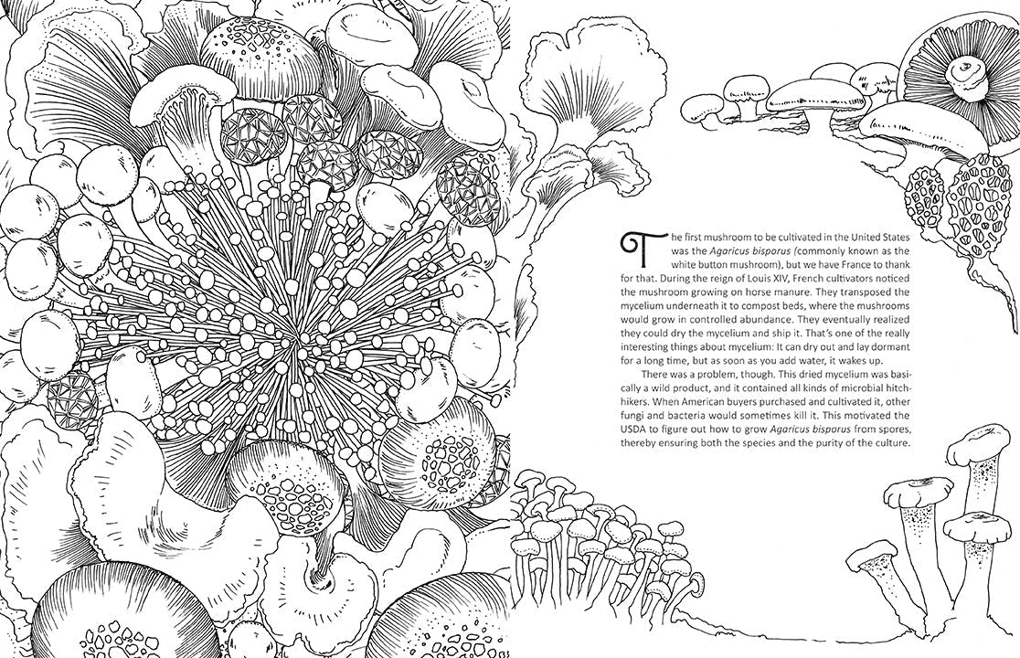 Fantastic Fungi: The Coloring Book inside page 1