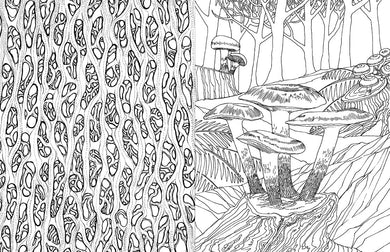 Fantastic Fungi: The Coloring Book inside page 2
