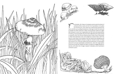 Fantastic Fungi: The Coloring Book inside page 4