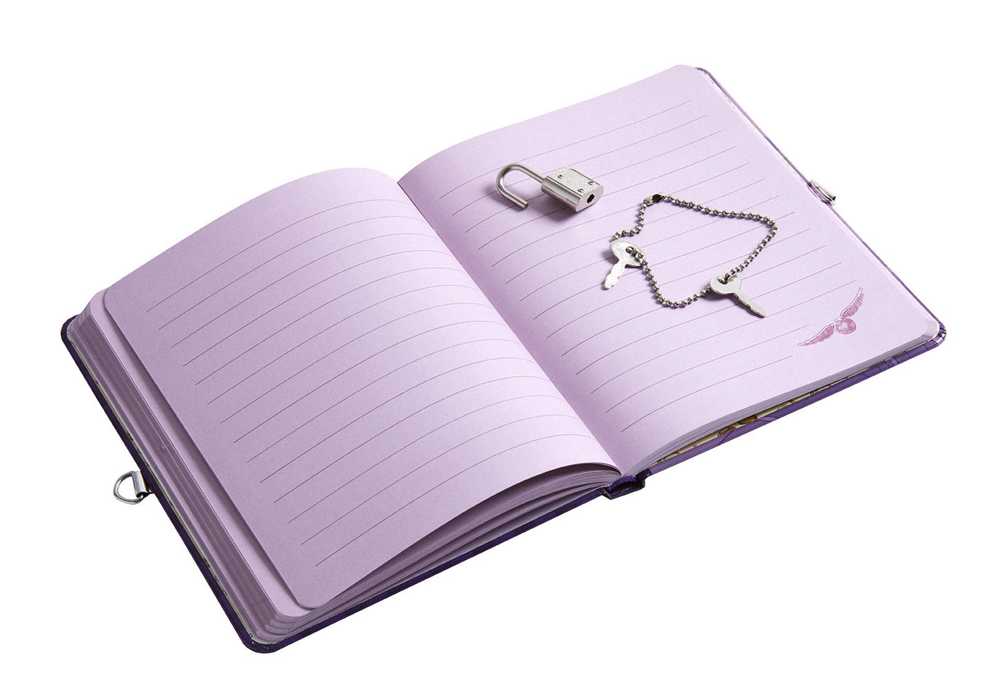 Harry Potter: Quidditch Lock & Key Diary inside page 3