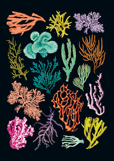 Art of Nature: Under the Sea Sewn Notebook Collection (Set of 3) inside page 3