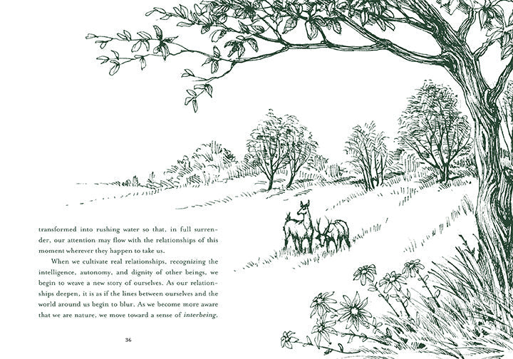 Healing Trees inside page 3