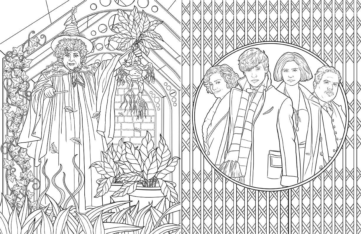 Harry Potter: Hufflepuff House Pride: The Official Coloring Book inside page 3
